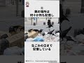 カラスに関する嘘みたいな雑学 #雑学王ハヤシくん #雑学