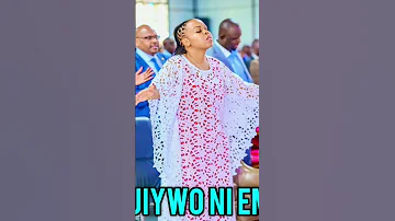 BABYTOP KWISHA 