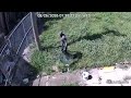 WATCH: St. Louis police searching for suspect in church burglary