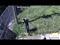 WATCH: St. Louis police searching for suspect in church burglary