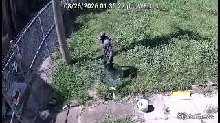 WATCH: St. Louis police searching for suspect in church burglary