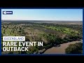 Rare Outback Sight Set To Draw Tourists To Aussie Country Towns | 10 News
