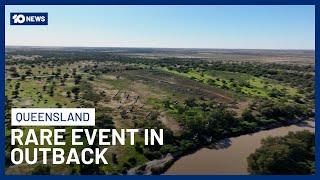 Rare Outback Sight Set To Draw Tourists To Aussie Country Towns | 10 News