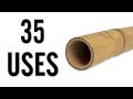 35 Amazing Uses for Bamboo