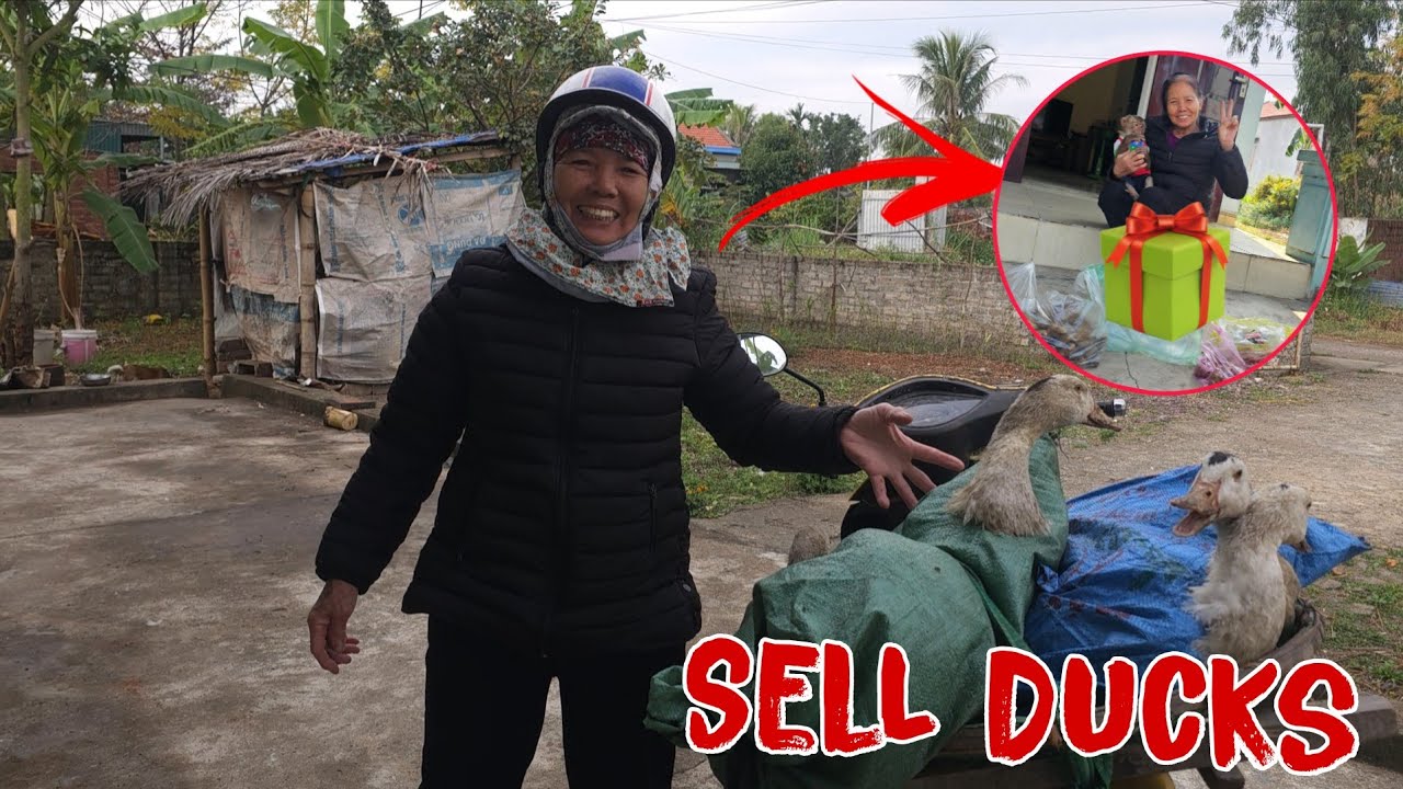 Ба Кан отвёз уток на рынок на продажу и приготовил для Ламбо сюрприз.