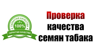Проверка качества семян табака. Постоянный мониторинг. Проверка качества семян табака. Постоянный мониторинг.