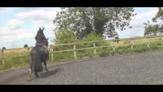 Travis||Flatwork