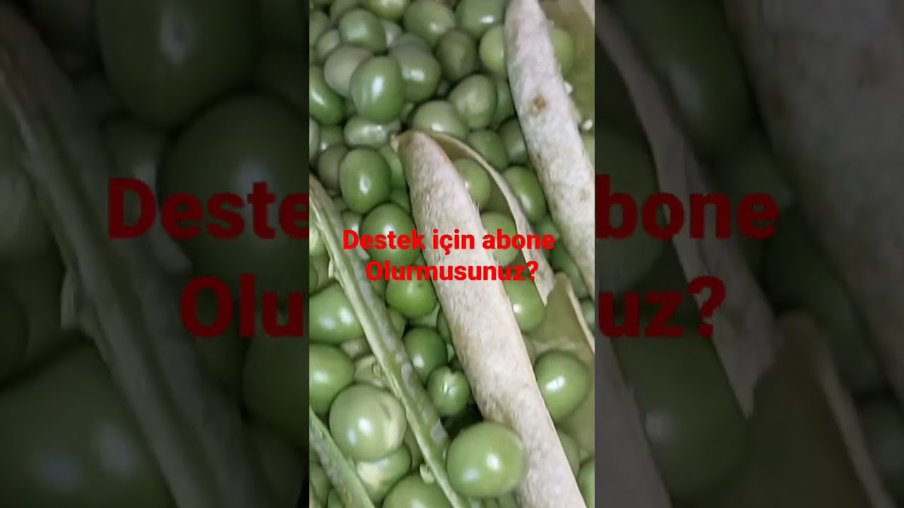 dondurucuda bezelye nasıl saklanırbezelyekış hazırlığıshortskeşfet
