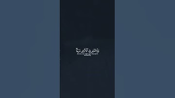 "سورة الإسراء القرآن الكريم" أرح قلبك #allah #quran #قرآن #القرآن_الكريم #ياسر_الدوسري #سورة_الإسراء