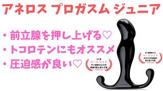 【前立腺責めグッズ】アネロス プロガスム ジュニアを使ってみてわかったこと!【ドライオーガズム】