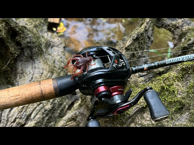best shimano reel with dobyns sierra rod Rods- Series Cancer and Reproductive Harm Buyer's Guide: Best $200 Rod