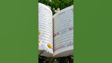 القرآن الكريم بصوت جميل #القران_الكريم #المصحف #اسمعنا #اكسبلور
