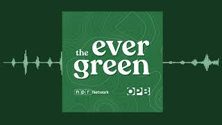 Drag In the Northwest | The Evergreen | OPB by Oregon Public Broadcasting 375 views 2 months ago 21 minutes