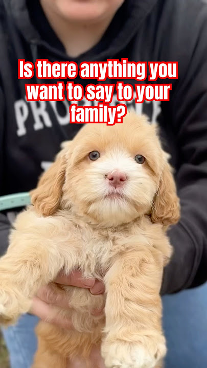 Hey Fam! ❤️ #cutenessoverloaded