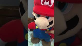 DO NOT BREAK MARIO PLUSHIES