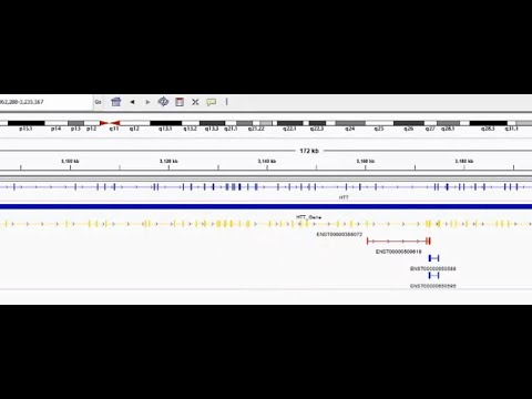 Bioinformatics BED Files - A Comprehensive Overview (with exercises)