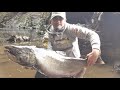 última gran pelea con el salmón chinook, con caña rio Puelo en acción chiloé chile