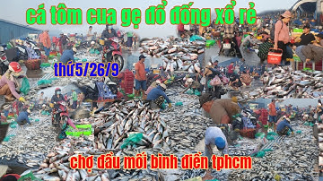 hàng tấn cá tôm đổ đống xổ rẻ bất ngờ chợ đầu mối bình điền