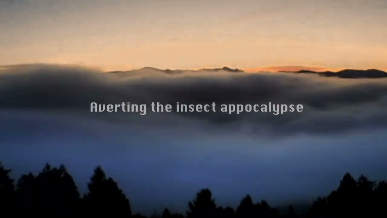 Silent Earth: Averting the Insect Apocalypse by Dave Goulson