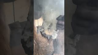 Who Can Smell This Video? #Farrier #Asmr #Satisfying #Oddlysatisfying #Horse
