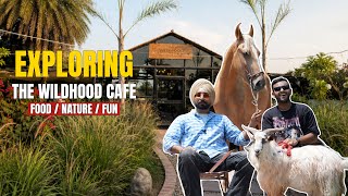 India's Craziest Animal Café with Pony Horses ,Rabbits & Birds 🐦🐐🐎