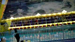 DSCN5714.AVI