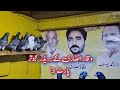 Breeder pigeons of waqar ansari part 3