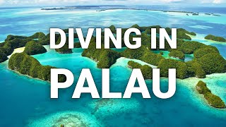 Scuba Diver Dive Guide to Palau