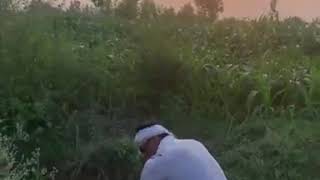 Bollywood Actor Nawazuddin Working In His Village Field I Binary Baba