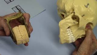 Model Articulation