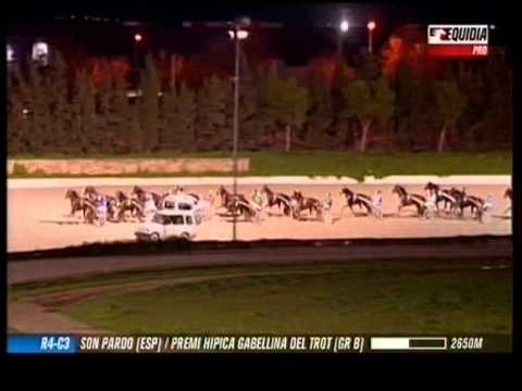 Vidéo de la course PMU PREMI HIPICA GABELLINA DEL TROT (GR B)