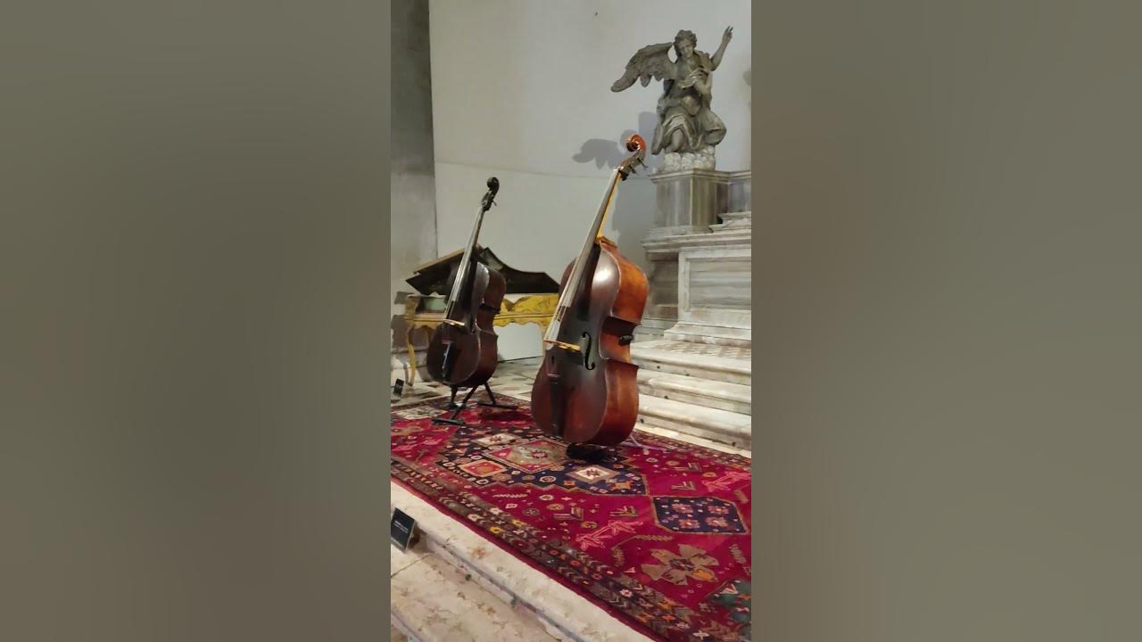 Double basses by nicolo amati and michelangelo bergonzi at the museo