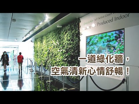 坐係 Office 都有清新空氣 │ 室內綠化牆淨化空氣 天然植物細菌分解污染物  │ 「香港製造」科技 殺菌除毒抗疫同行 │ 工作環境 美化設計  │ 【生活Power UP】