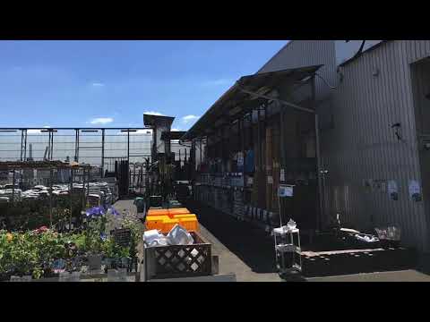 ユキサキナビ ツインフィールド入口 バス停留所 水戸市 の周辺施設動画一覧 ユキサキナビ ツインフィールド入口 バス停留所 水戸市 の周辺施設動画一覧