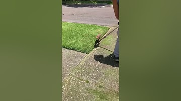 String Trimmed Sidewalk Edge Shorts #lawncare #shorts #landscaping #shortsfeed #stihl #trimmer