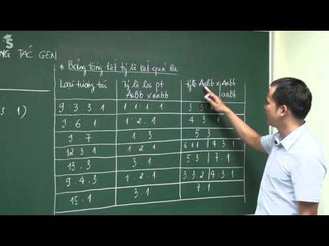 Video Các dạng bài tập tương tác gen - Thầy Vũ Kiều Mạnh -... - youtube