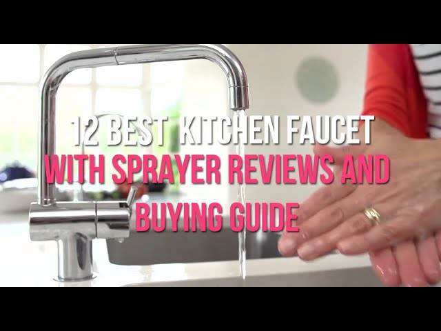 Best Kitchen Faucet With Sprayer Ing