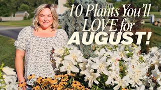 10 Must-Have Perennials for Late Summer Color | August Garden Favorites