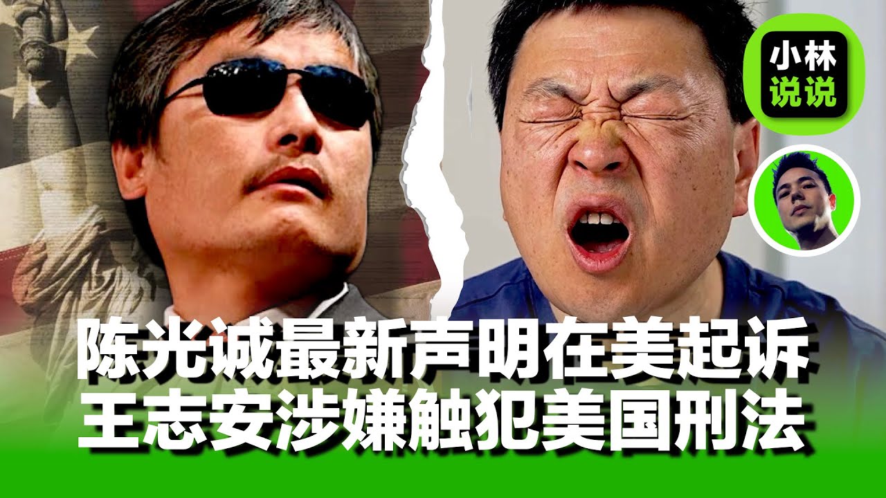 陈光诚最新声明将在美国提起诉讼，王志安涉嫌触犯美国刑法，火速删帖自保｜陈光诚｜王志安｜今月｜摩西｜