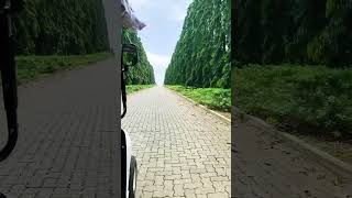 #flypシ #botanicalgarden #goviral #nature #trendingshortsnow #youtubenewsshorts #newupdates