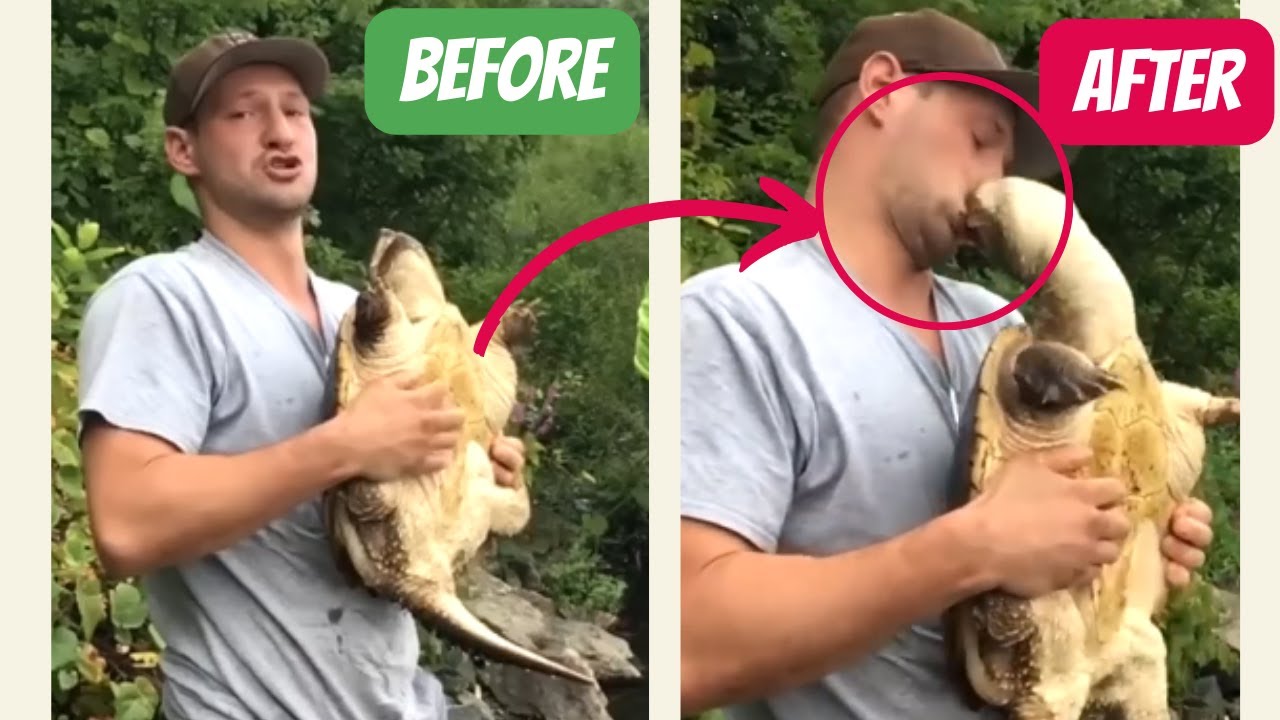 This Guy Almost Got his FACE Bite off  |  Viral Internet Videos  