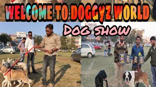 Dog Show Delhi 2020 || KCI DOG SHOW || Dog Show In India || Doggyz World