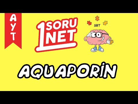 Video: Aquaporinler aktif taşıma mıdır?