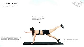 How To Do Diagonal Plank Correctly | Dailykeepfit | home workout