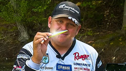 Jerkbait Magic: Unlocking Year-Round Bass Fishing Success