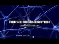 Nerve regenerationheal damaged brain cells morphic fieldpowerful energy programming