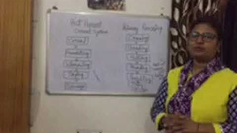 Post harvest cereal system