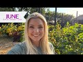 Back Garden in BLOOM! 🌸 June Back Garden Tour