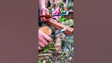 Bộ đục thủ công đục đẽo cây cảnh bonsai #bonsaishop