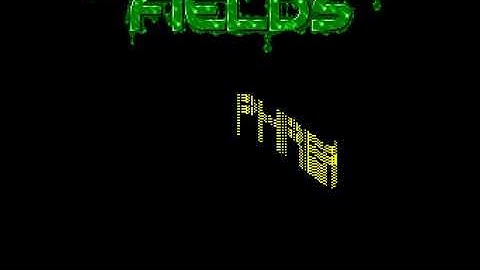 Magnetic Fields   Cosy